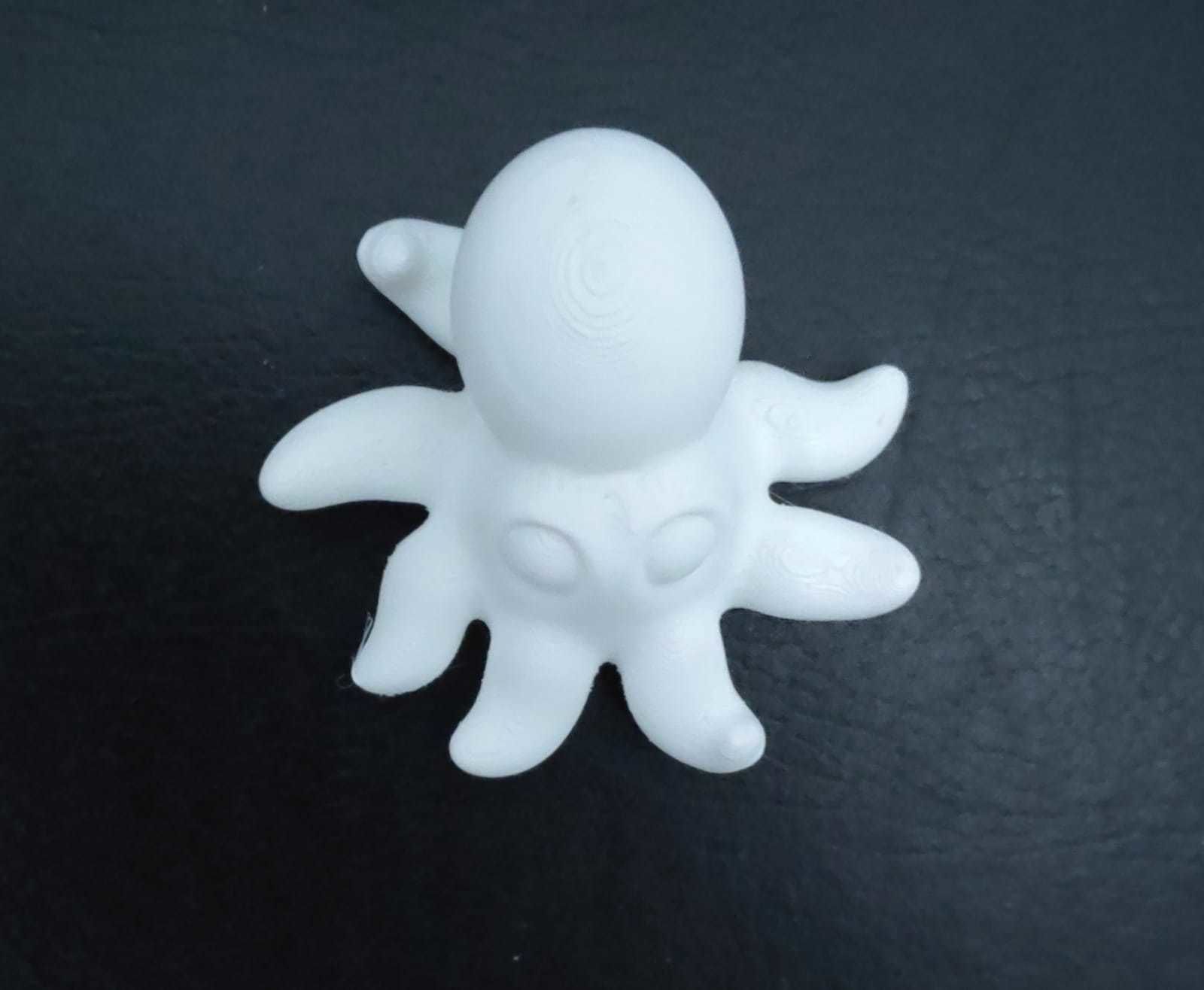 Giant Octopus 3D print model_12