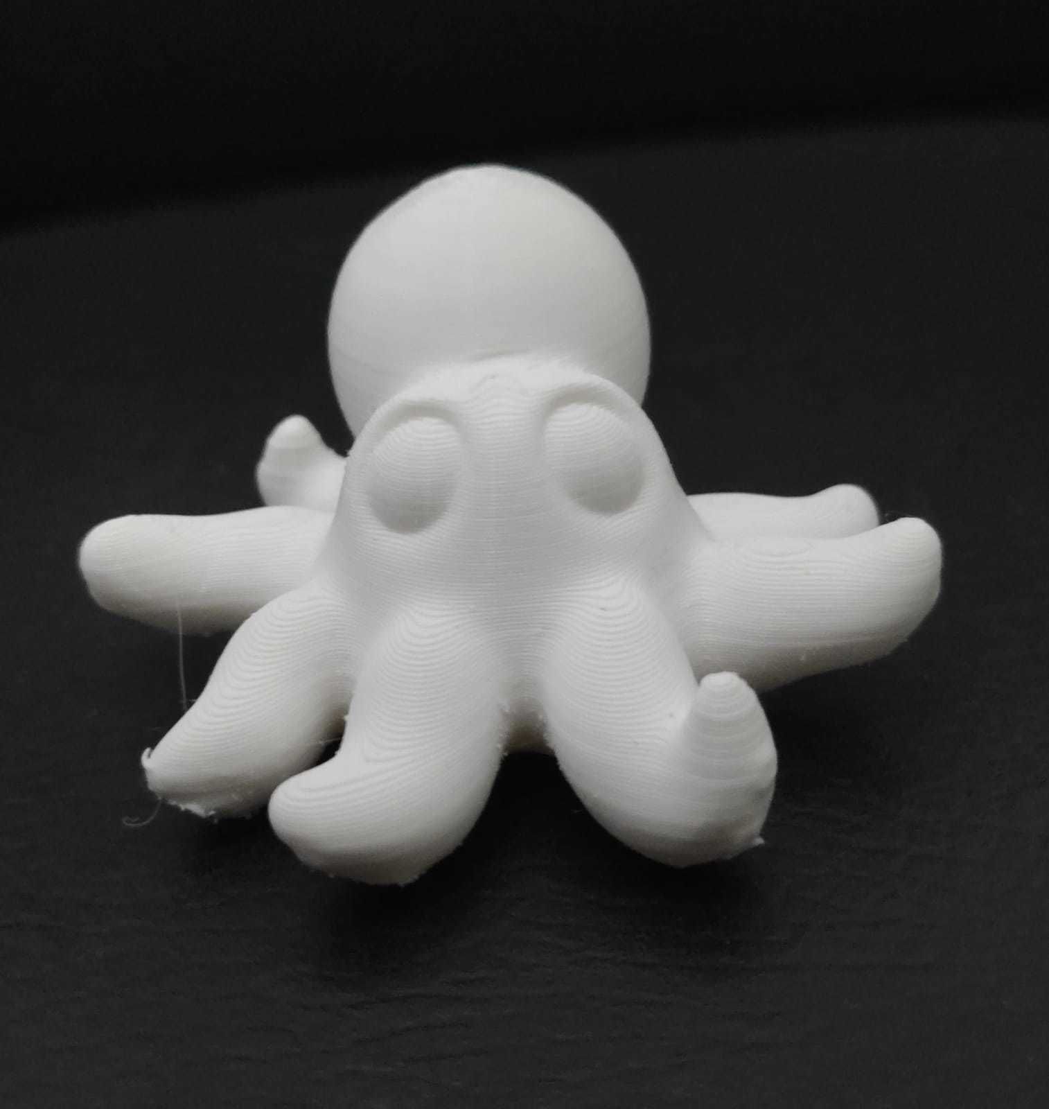 Giant Octopus 3D print model_6