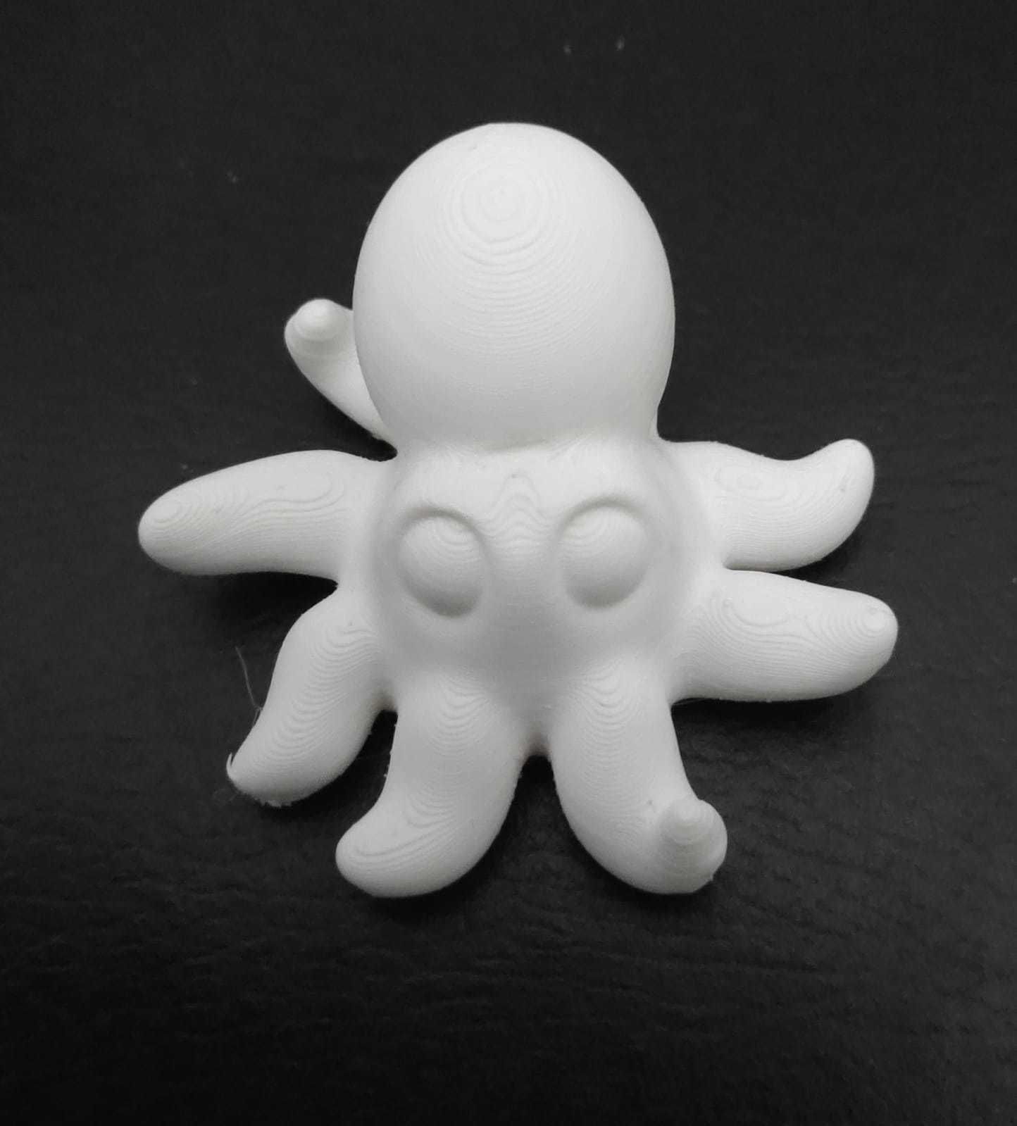 Giant Octopus 3D print model_5