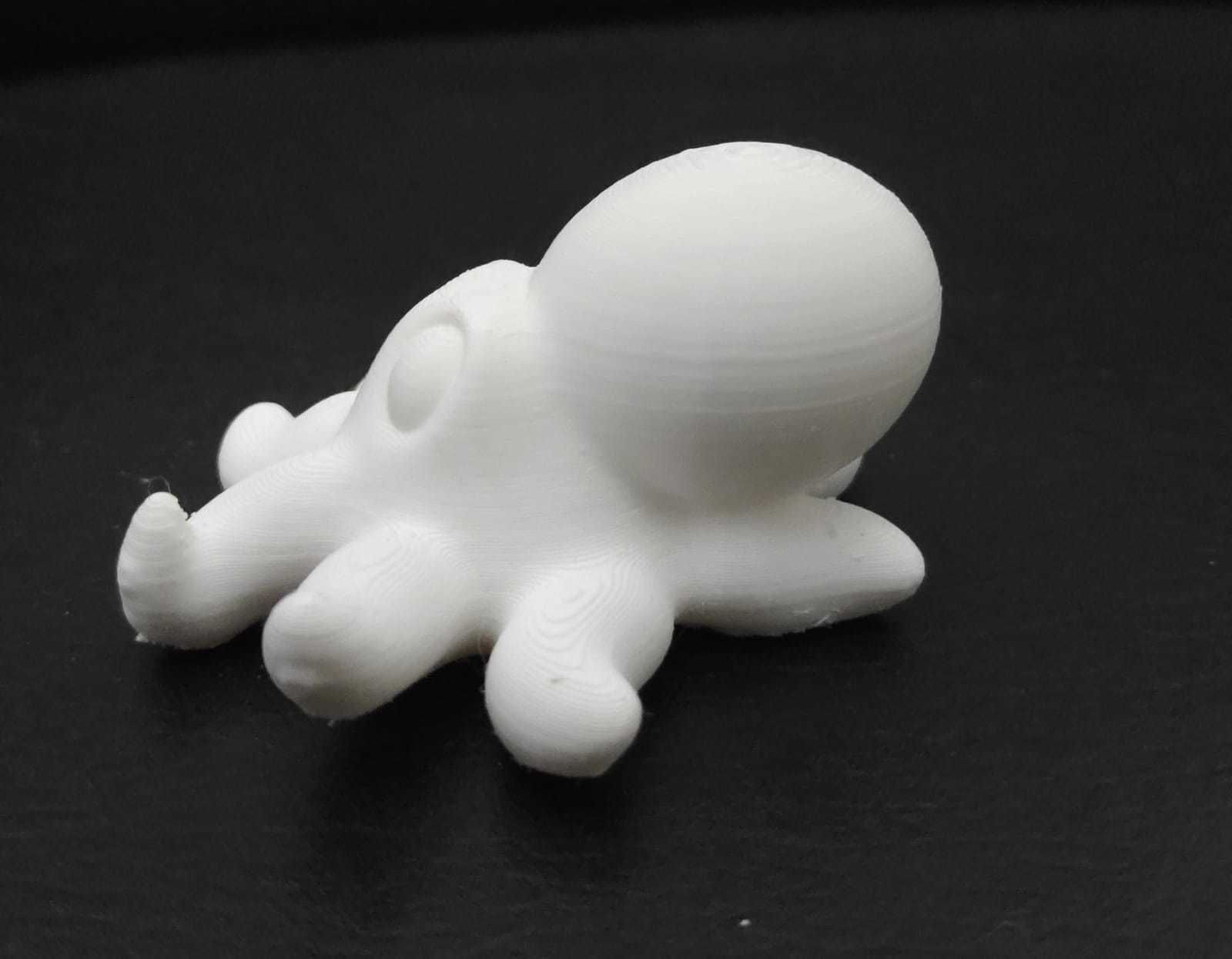 Giant Octopus 3D print model_7