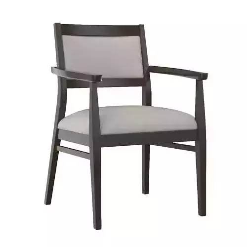 Asher Dining Chair
