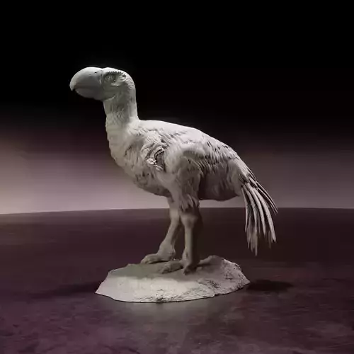 Brontornis standing - pre-supported prehistoric bird