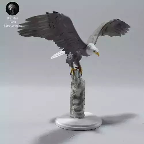 Bald Eagle 3D print model