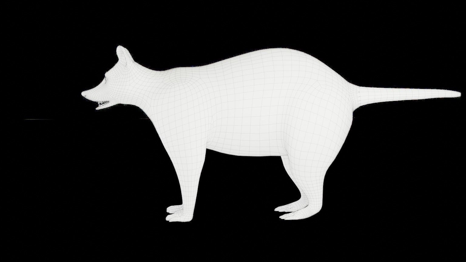 3D Fur Raccoon Rigged in Blender Low-poly 3D model_27