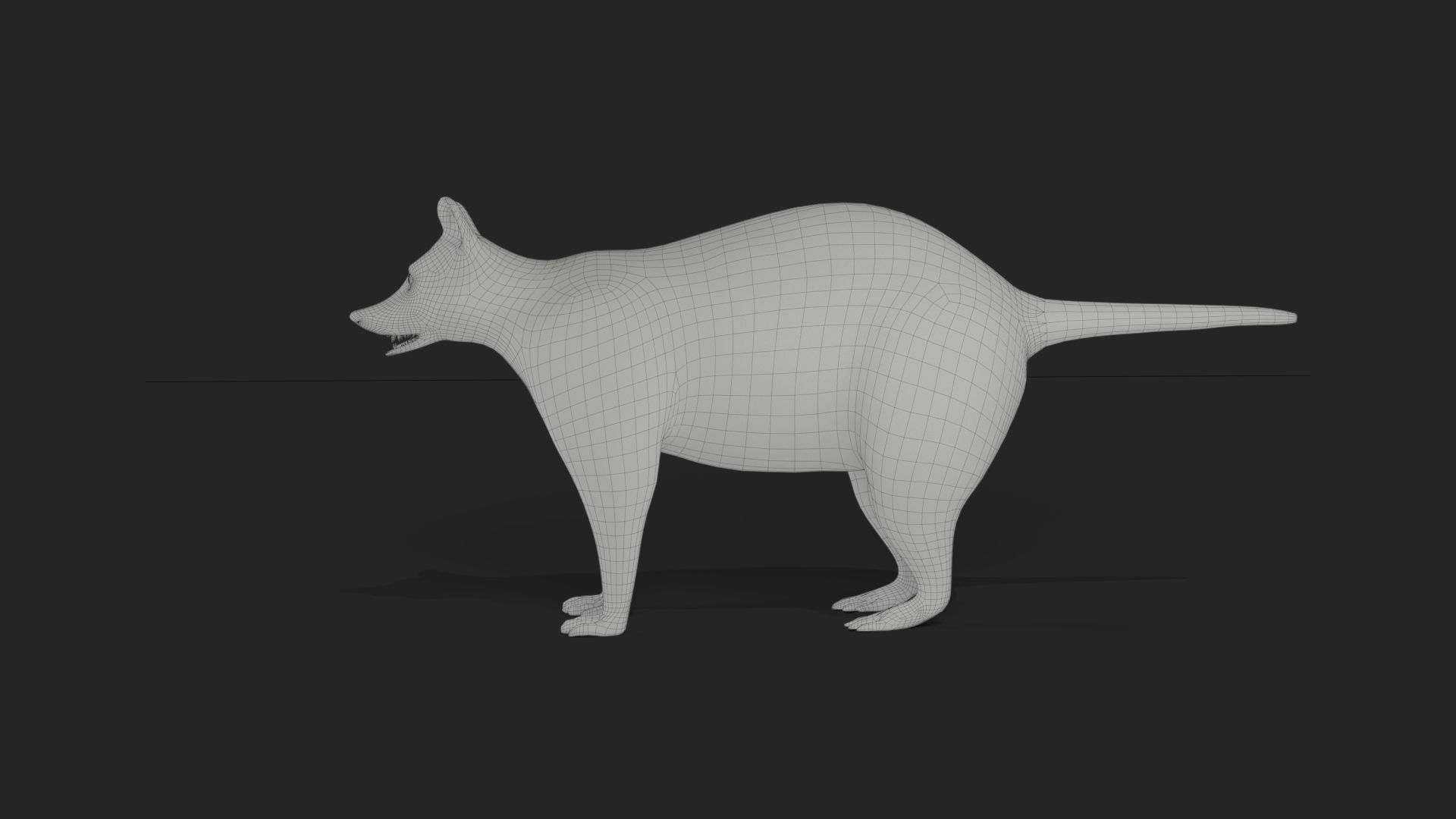 3D Fur Raccoon NO Rigged Low-poly 3D model_11