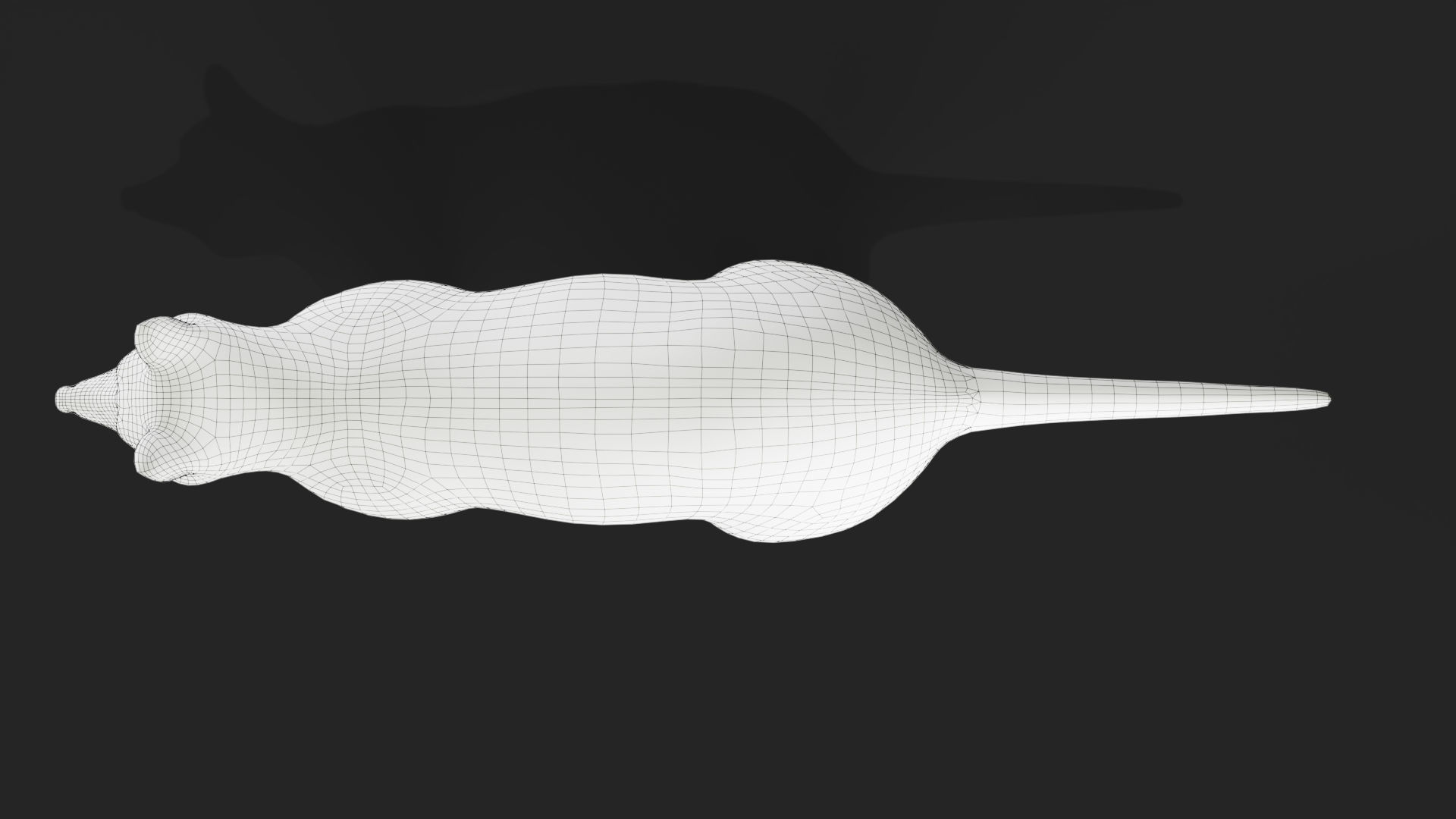 3D Fur Raccoon NO Rigged Low-poly 3D model_5