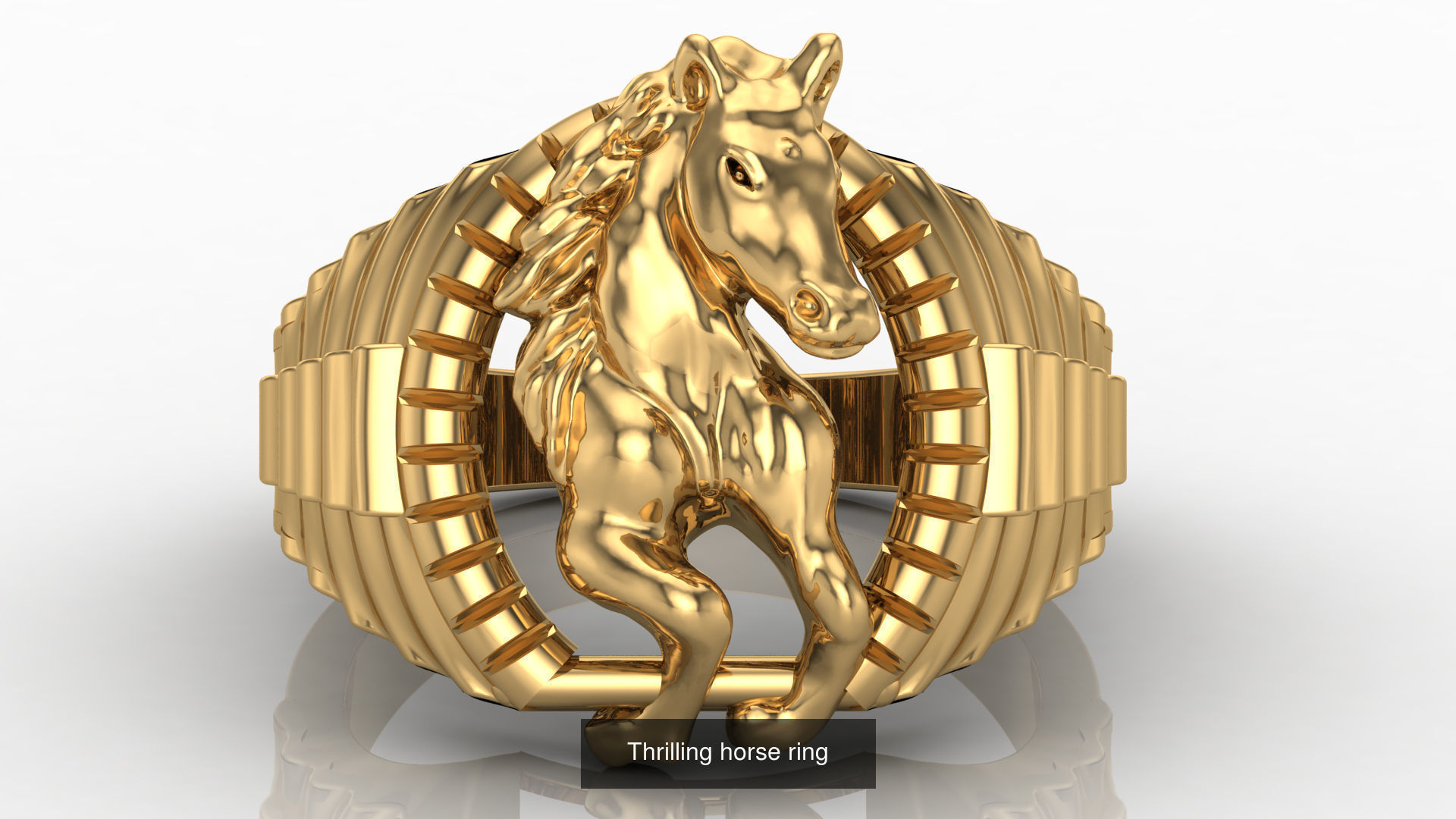 Thrilling horse  collection _1