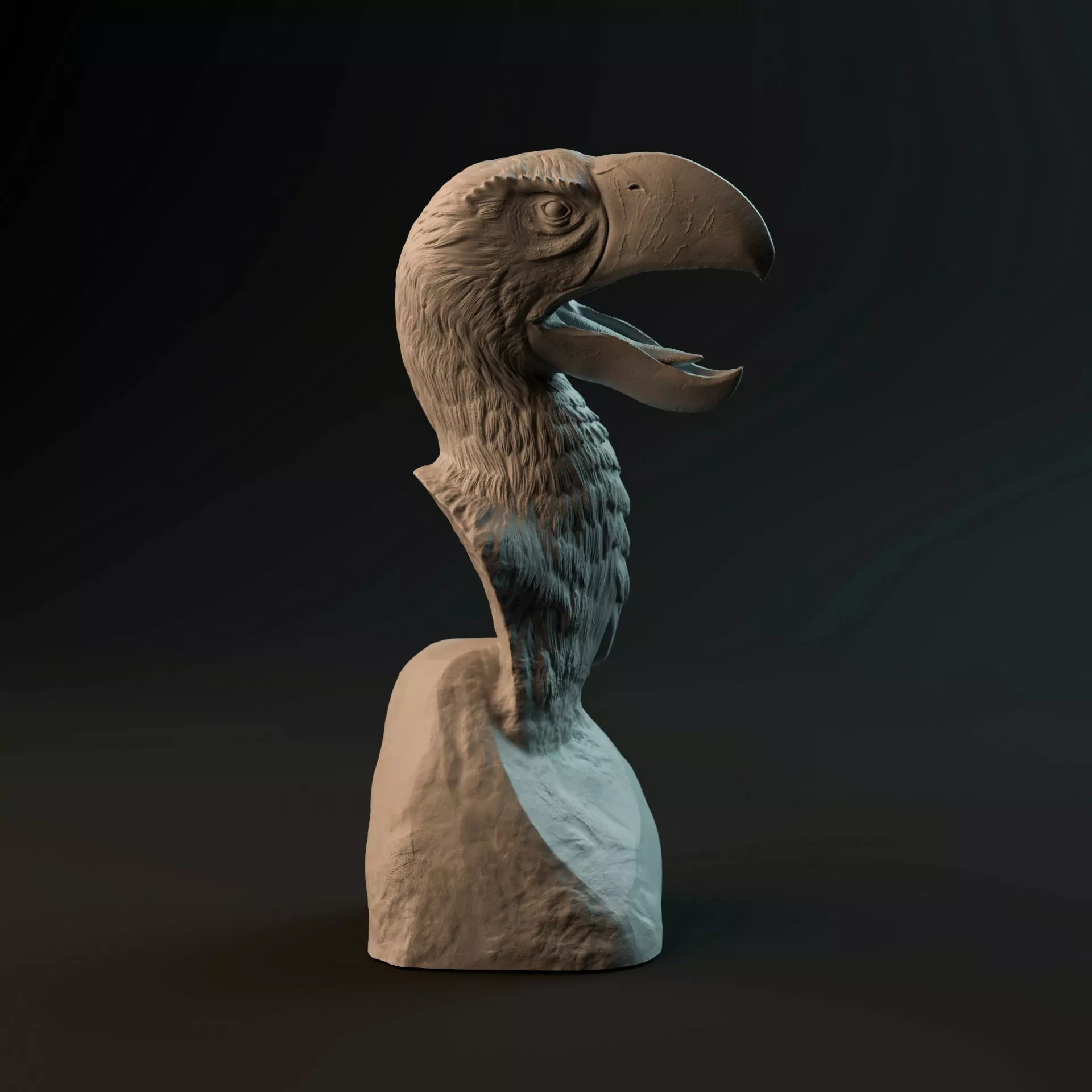 Brontornis bust - pre-supported prehistoric bird head 3D print model_0