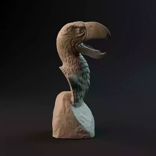 Brontornis bust - pre-supported prehistoric bird head