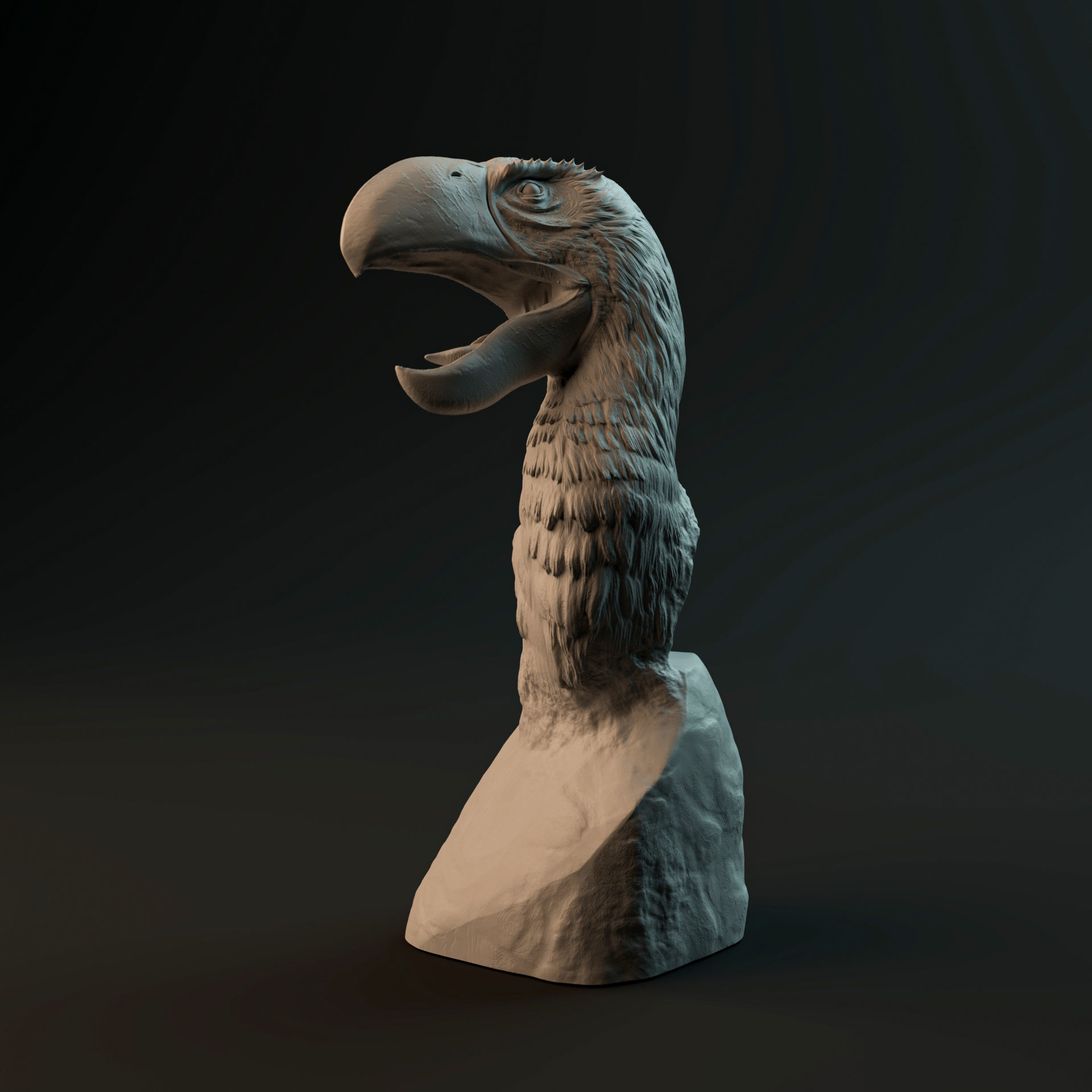 Brontornis bust - pre-supported prehistoric bird head 3D print model_1