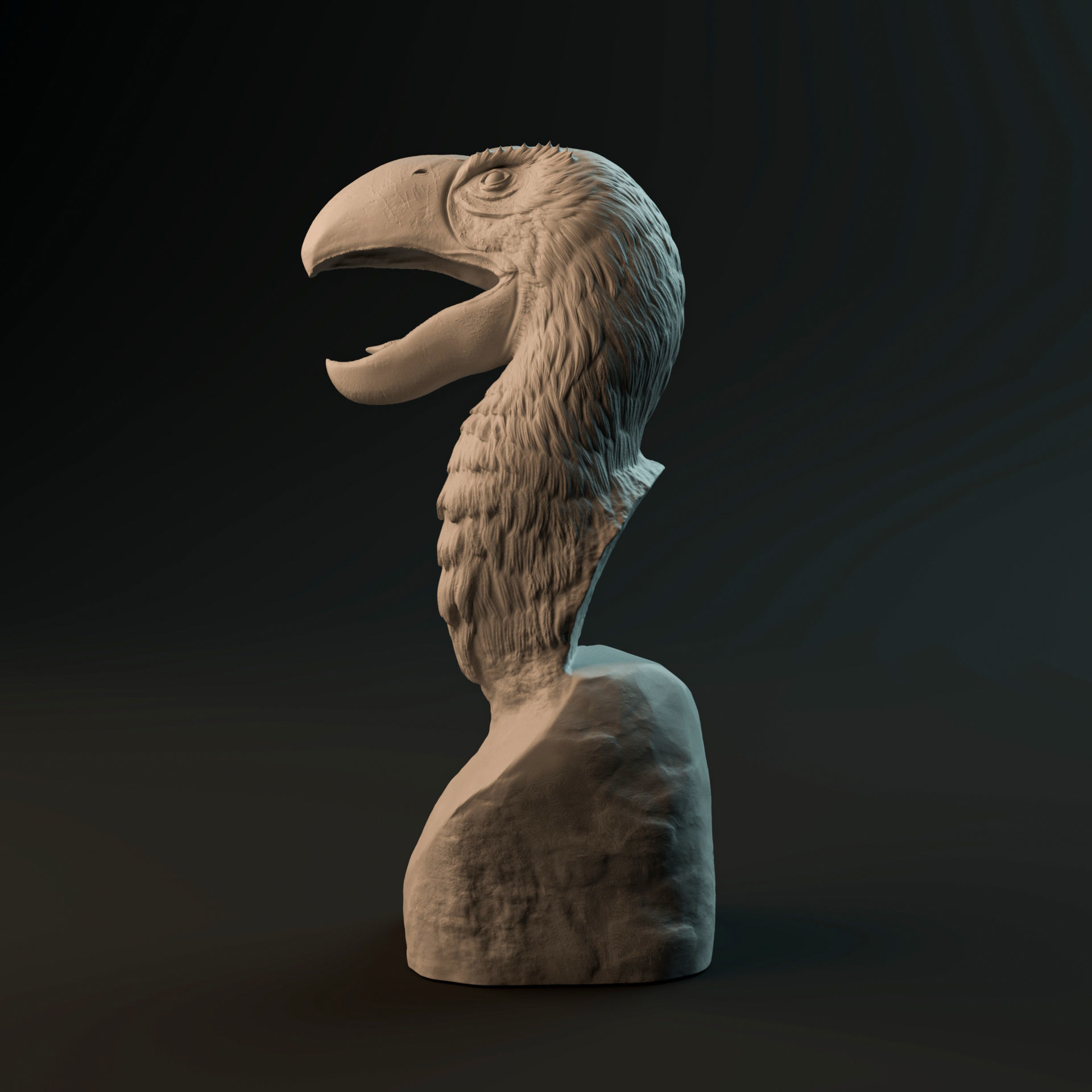 Brontornis bust - pre-supported prehistoric bird head 3D print model_2