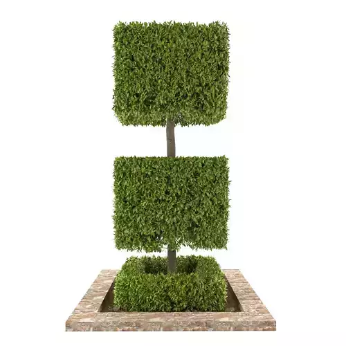 Outdoor Plant Set 51