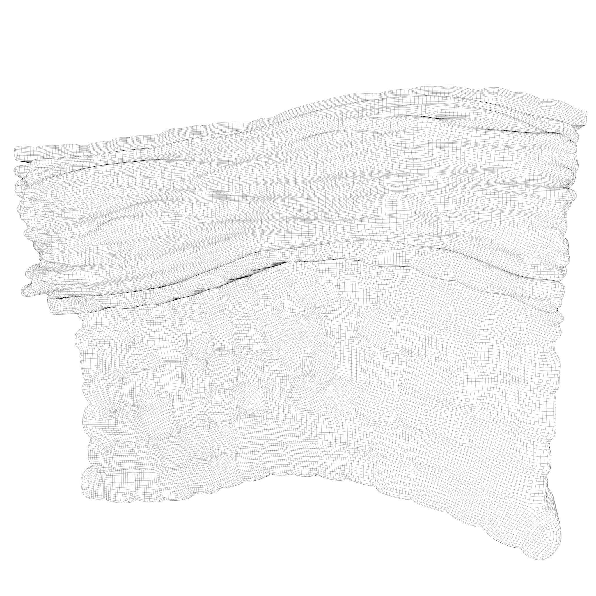 Epidermis Cross Section 3D model_6