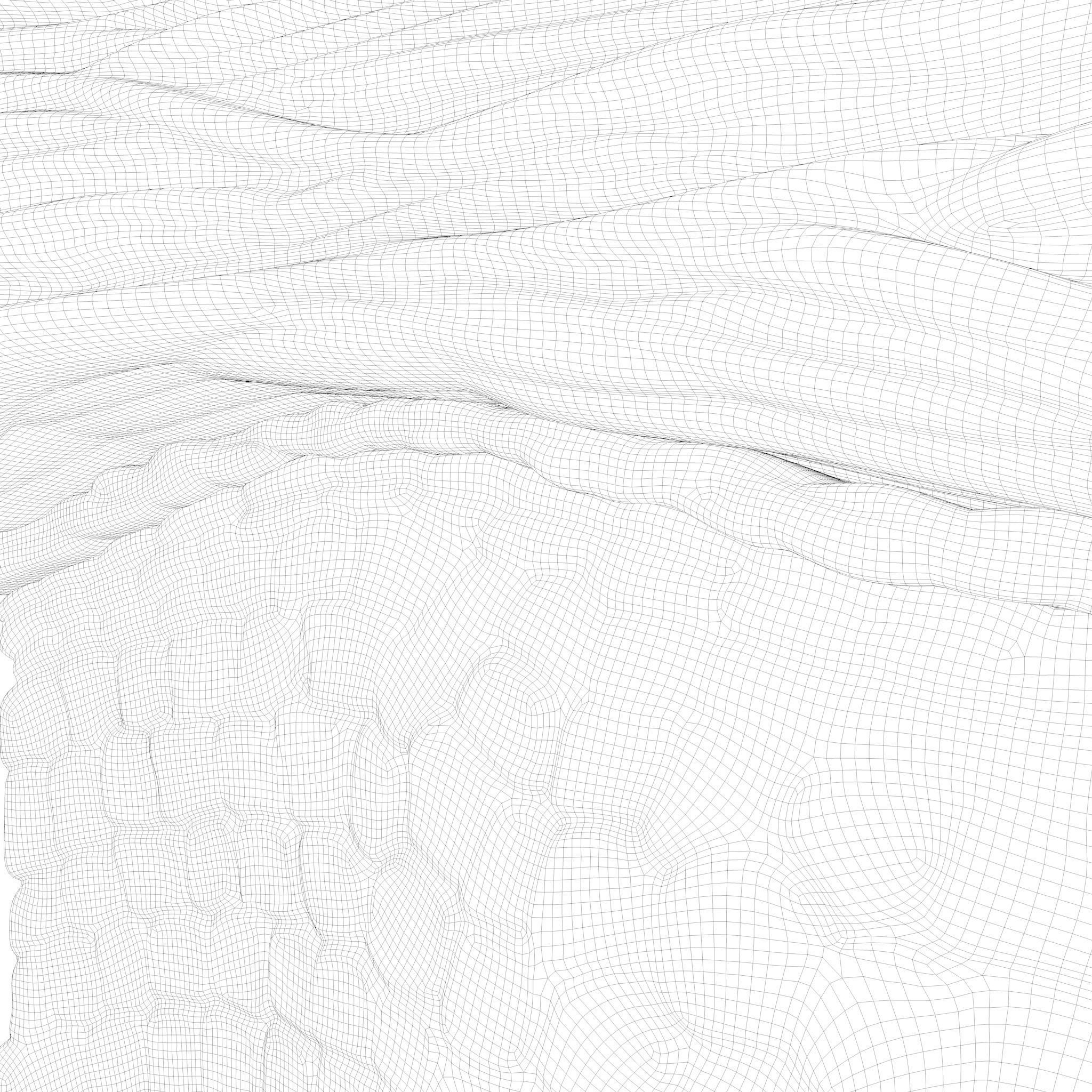 Epidermis Cross Section 3D model_8