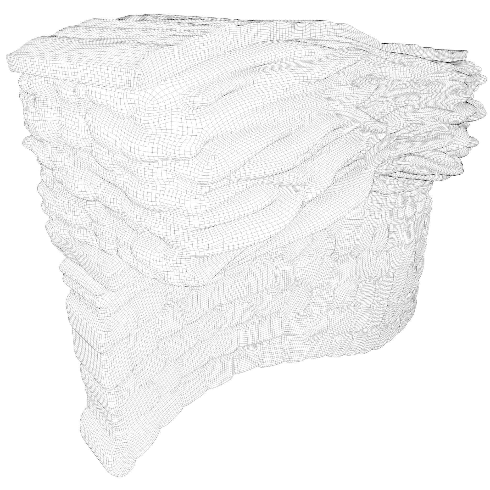 Epidermis Cross Section 3D model_7