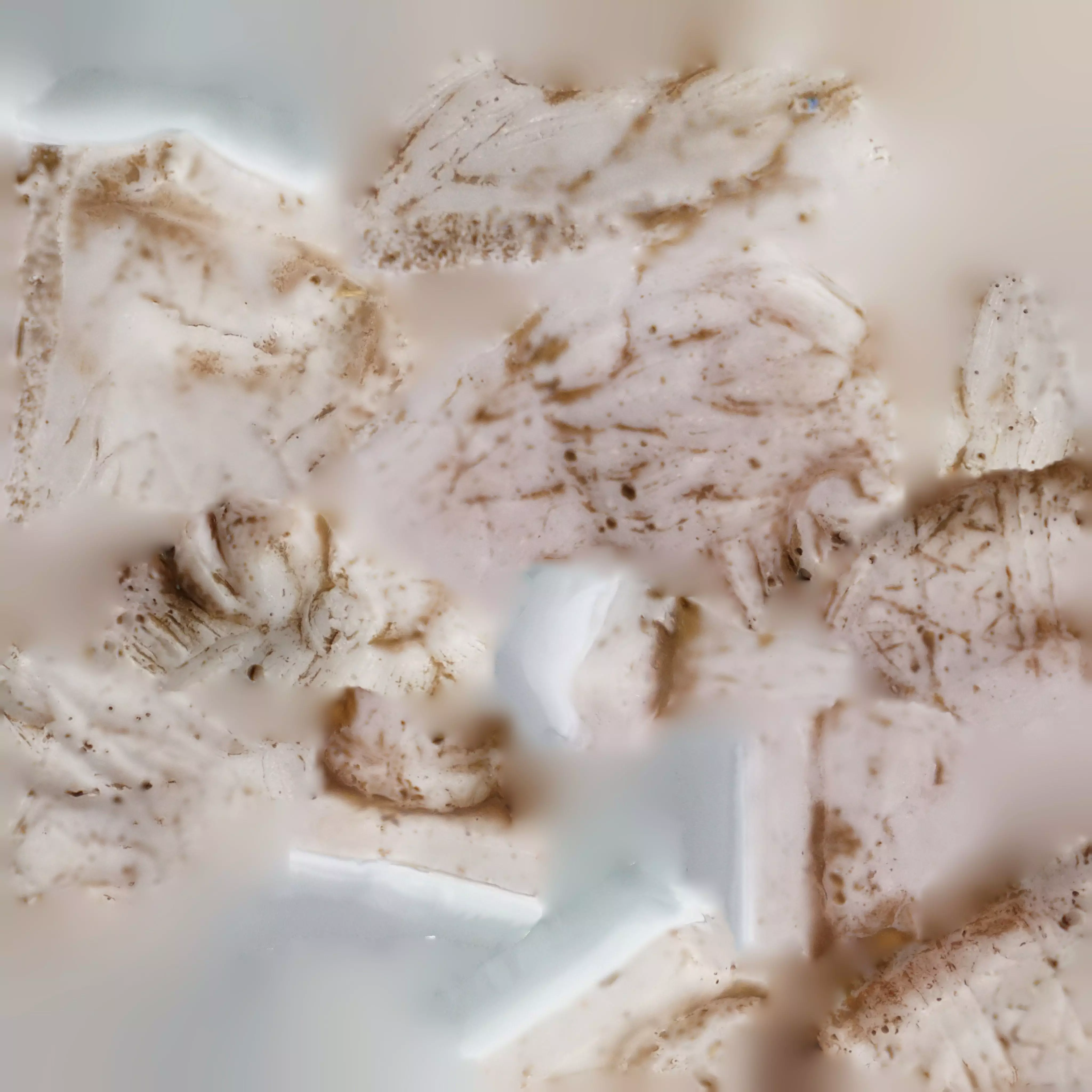 Nemrut Lion Statue 3D Mode 3D model_6