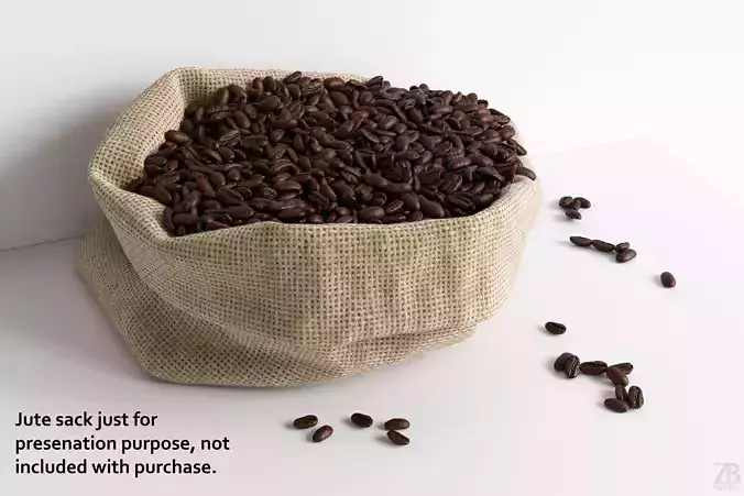 Coffee Bean 3D model