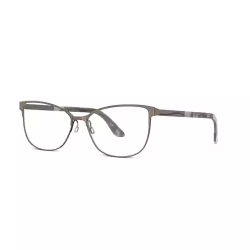 Skaga - 2785 FRAMTID 024 Glasses Low-poly 3D model