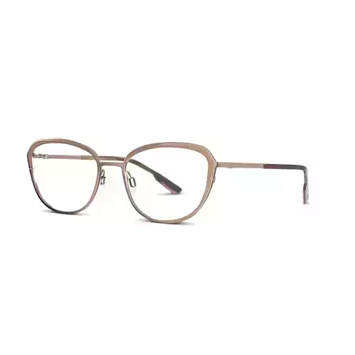 Skaga - 3000 BACKSIPPA 662 Glasses Low-poly 3D model
