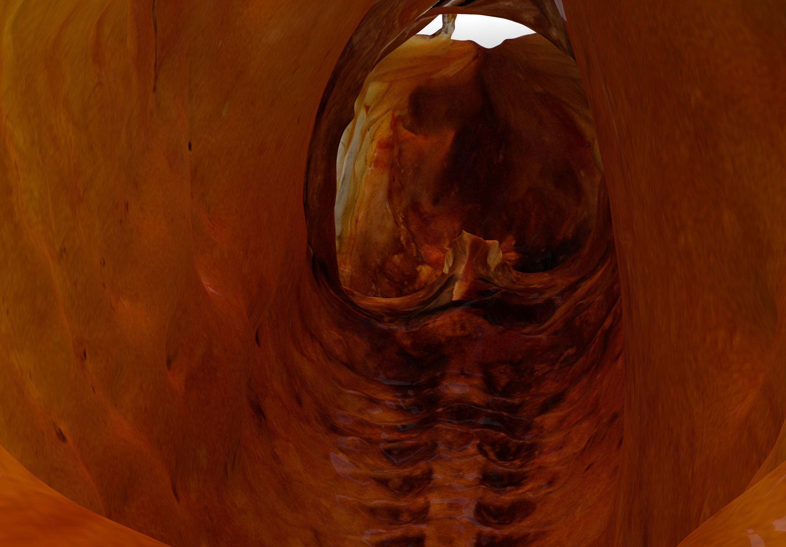 Chub dry fish Low-poly 3D model_5