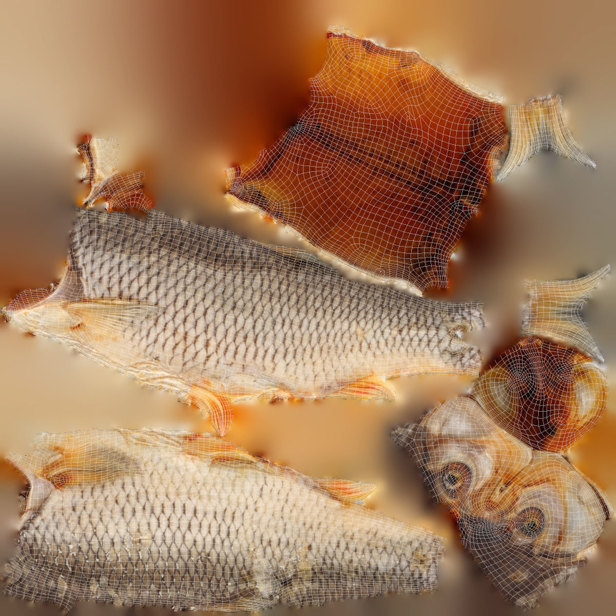 Chub dry fish Low-poly 3D model_9