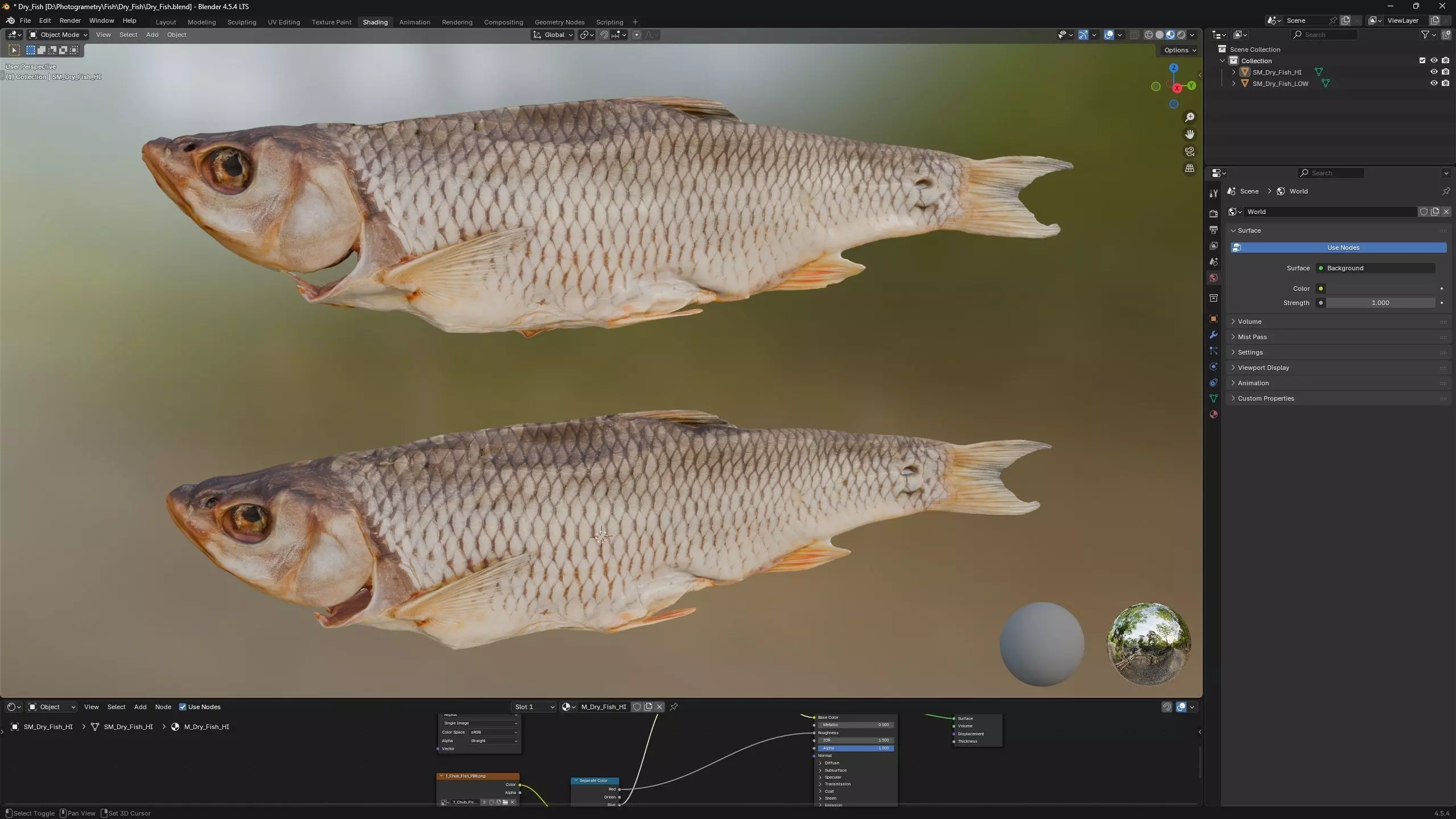 Chub dry fish Low-poly 3D model_6