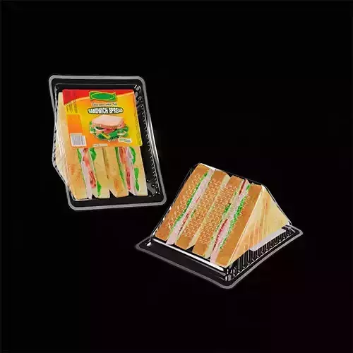 Sandwich in plastic container 3D model