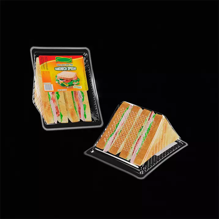 Sandwich in plastic container 3D model_0