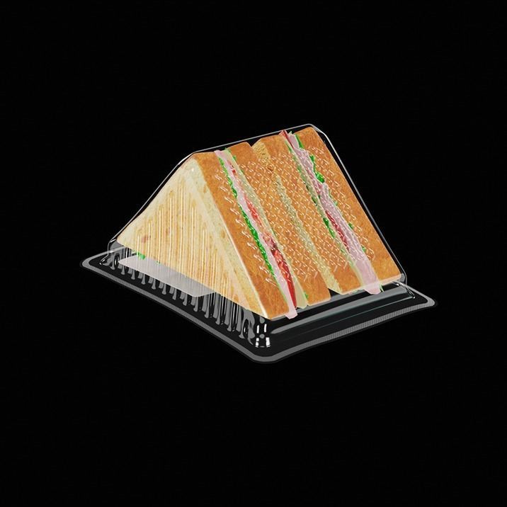 Sandwich in plastic container 3D model_6