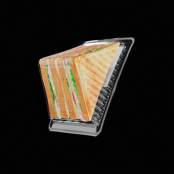 Sandwich in plastic container 3D model_8