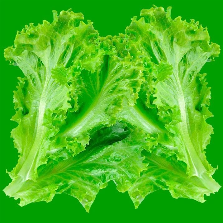 Sandwich in plastic container 3D model_14