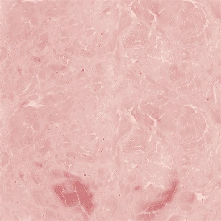 Sandwich in plastic container 3D model_22