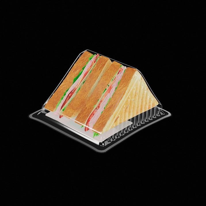 Sandwich in plastic container 3D model_7