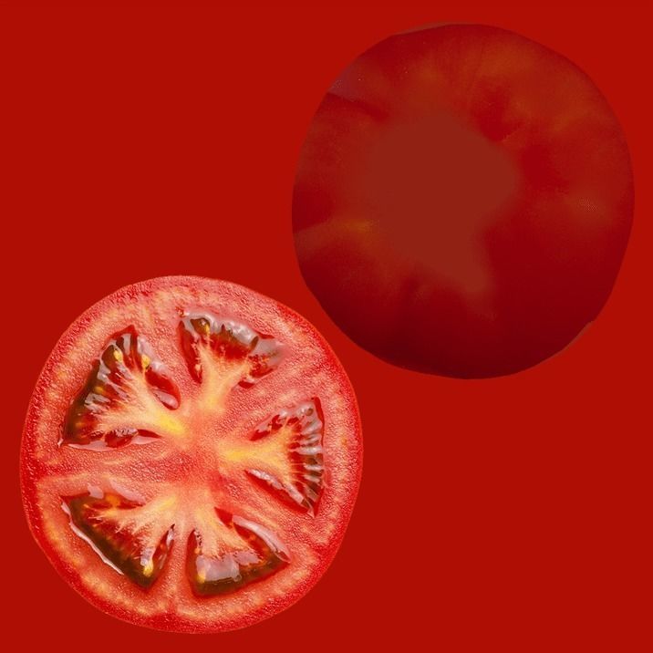 Sandwich in plastic container 3D model_20