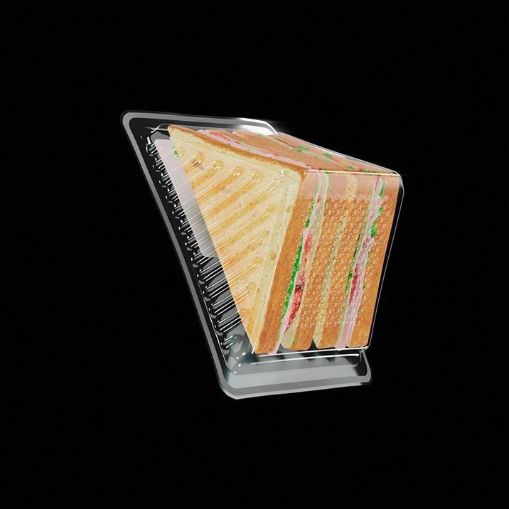 Sandwich in plastic container 3D model_9