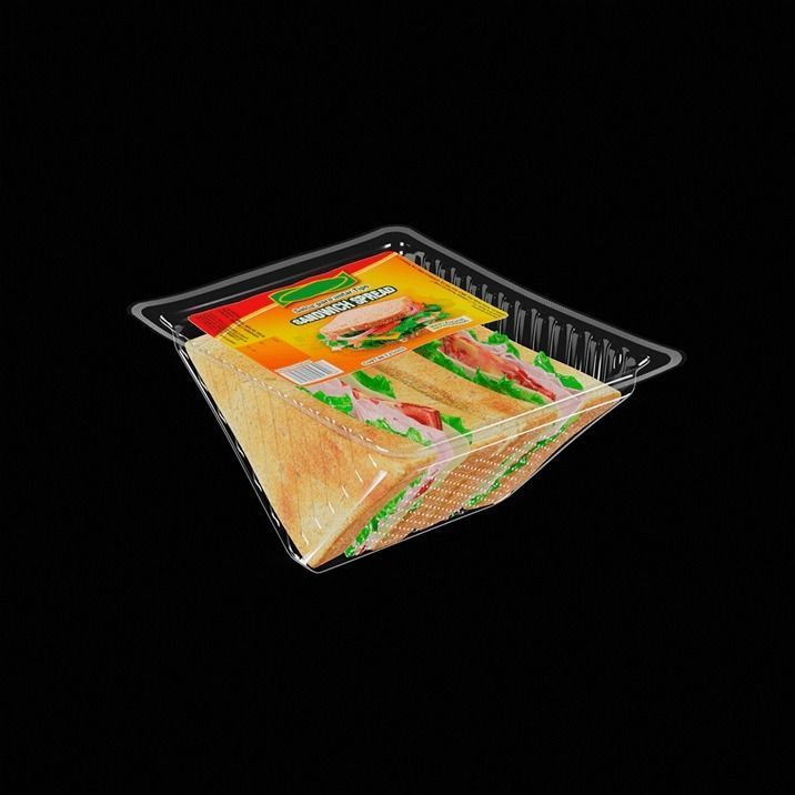 Sandwich in plastic container 3D model_5