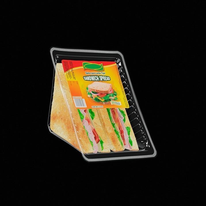 Sandwich in plastic container 3D model_3