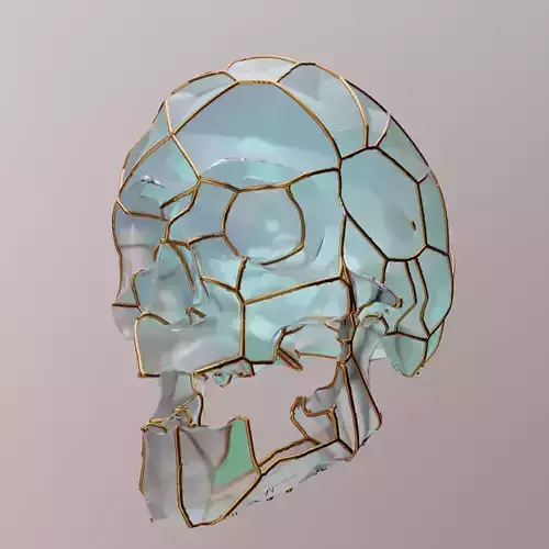 3D Golden Wire Wrapped Skull With Glass Material 3D model