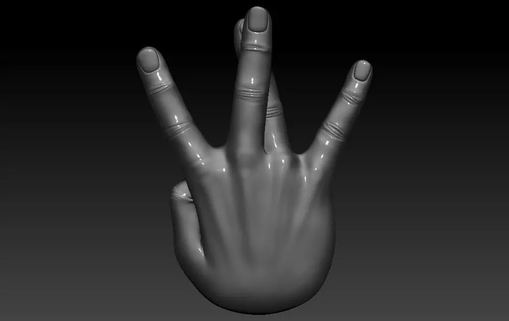 Hand Pose 3D print model_0