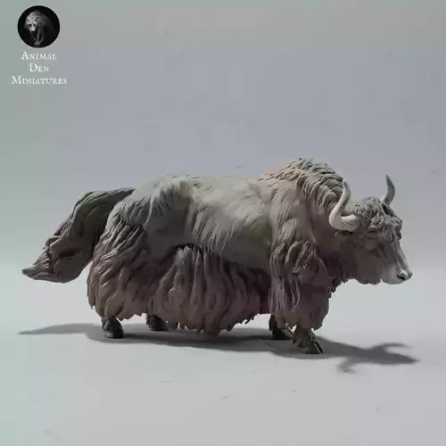 Himalayan Wild Yak 3D print model
