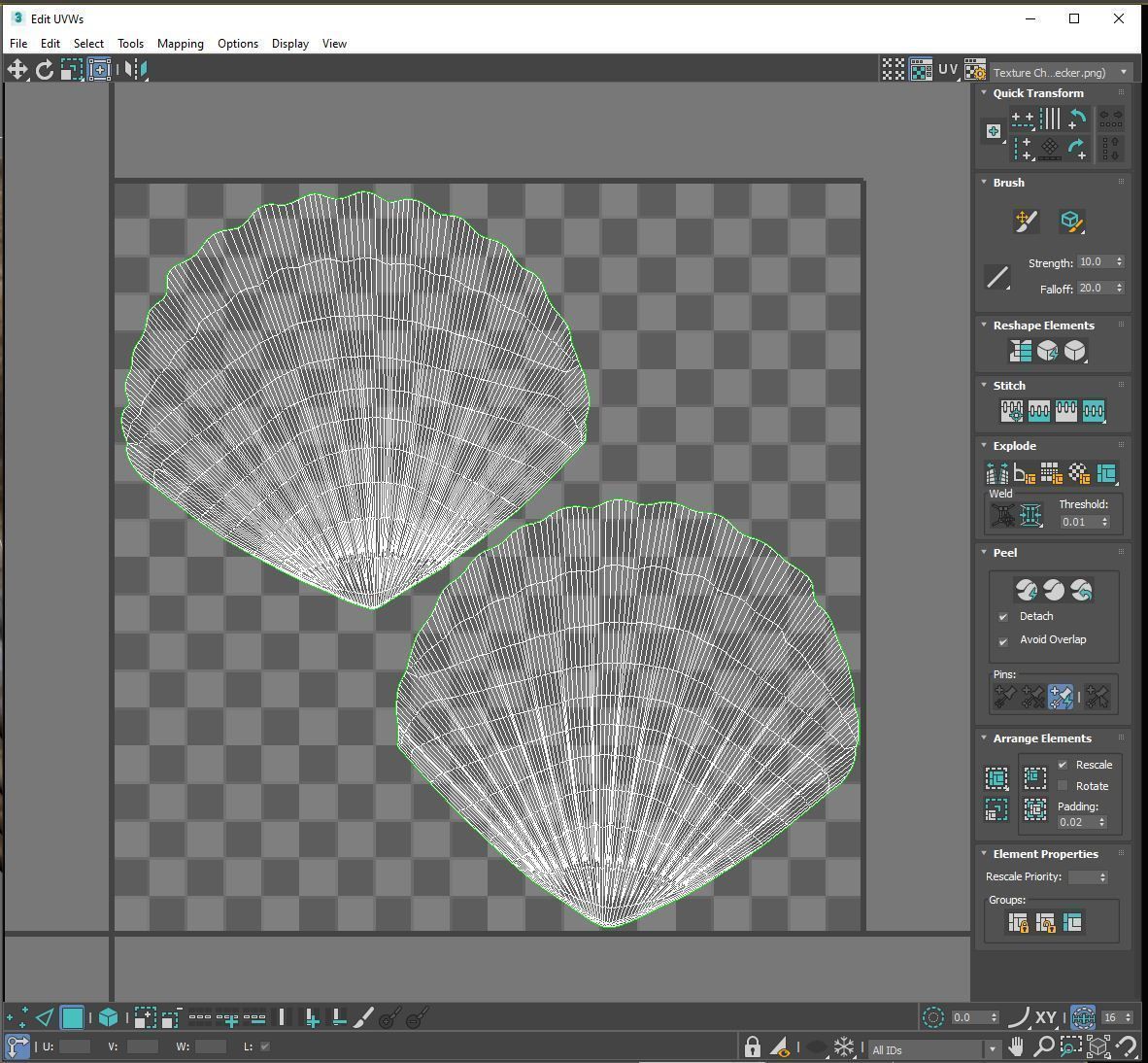 Scallop Seashell 3D model Free 3D model_5