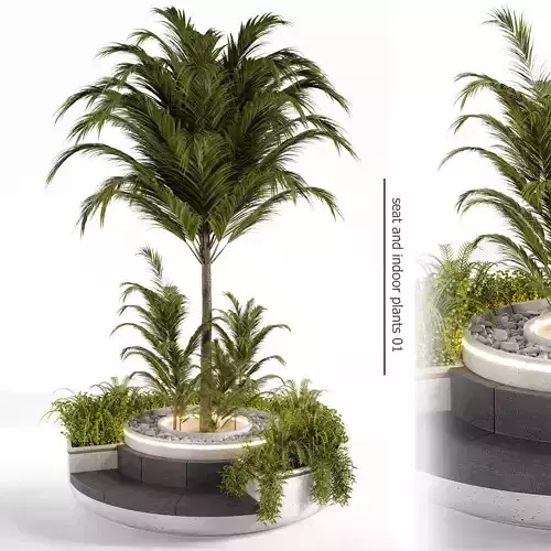 seat and indoor plants 09