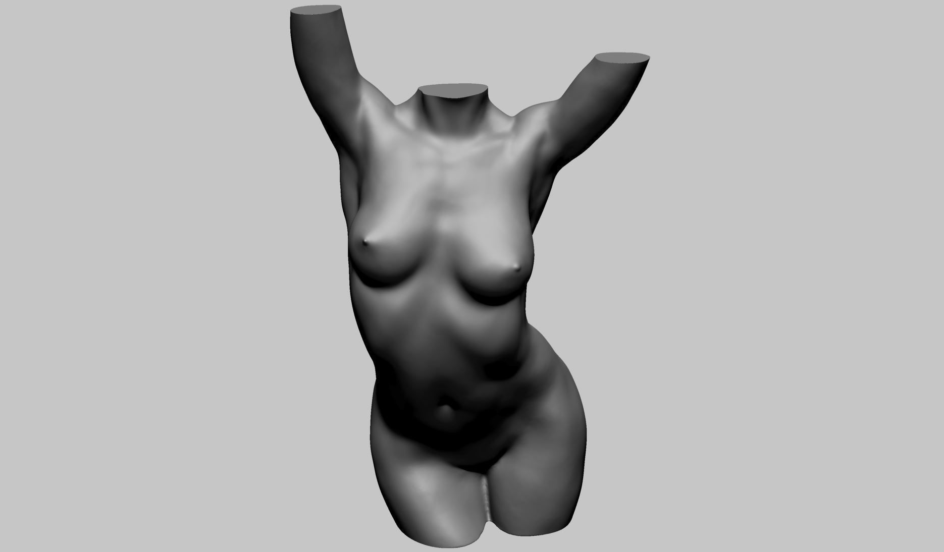 Female Torso Printable A 3D print model_5