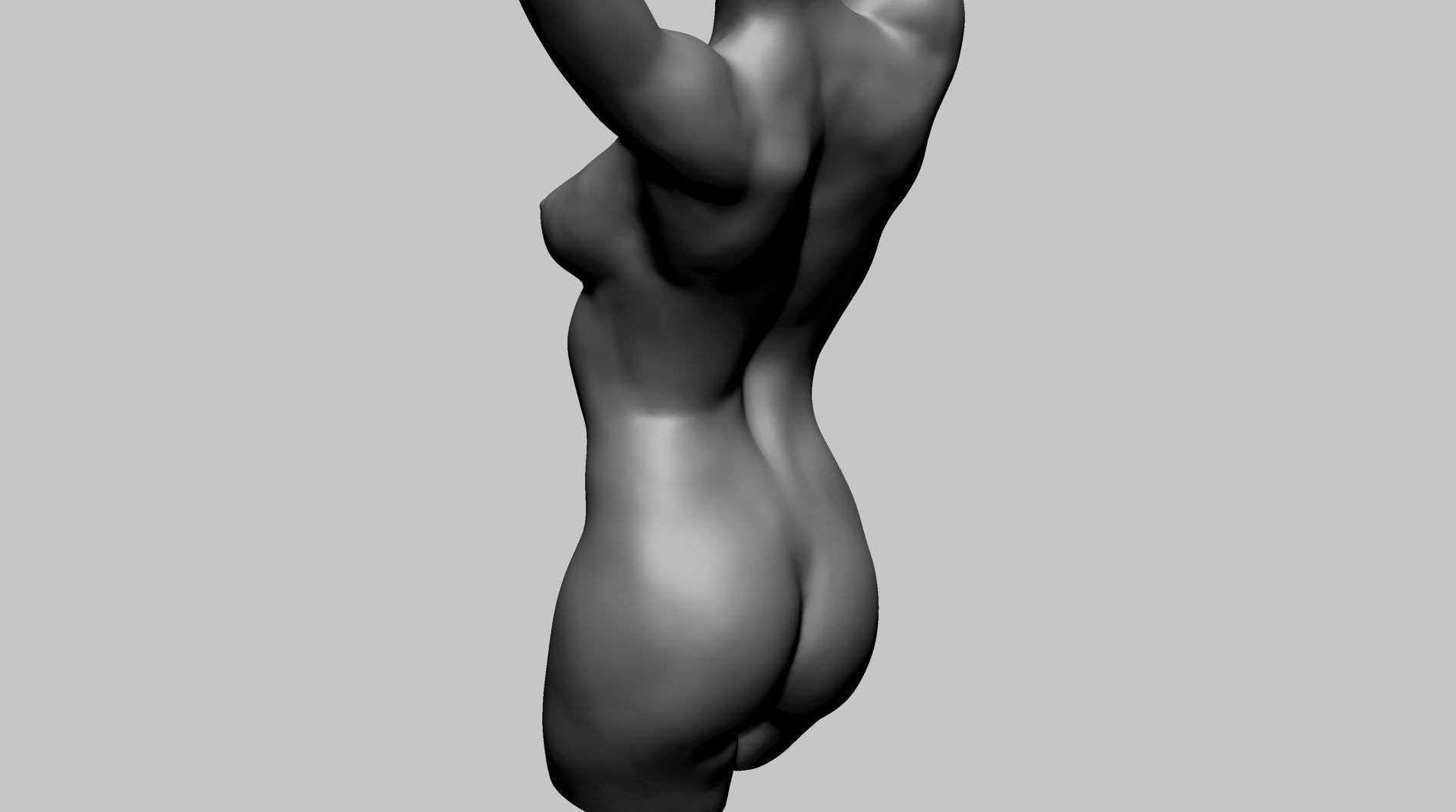 Female Torso Printable A 3D print model_4