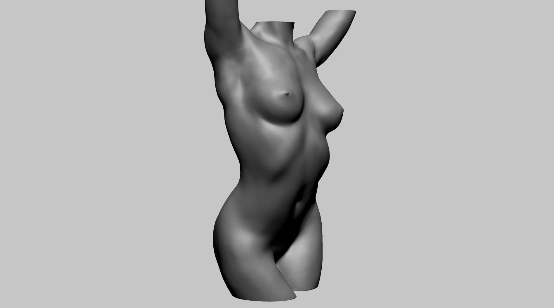 Female Torso Printable A 3D print model_2