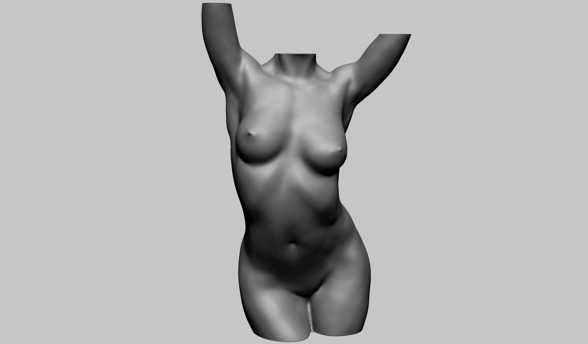 Female Torso Printable A 3D print model_1