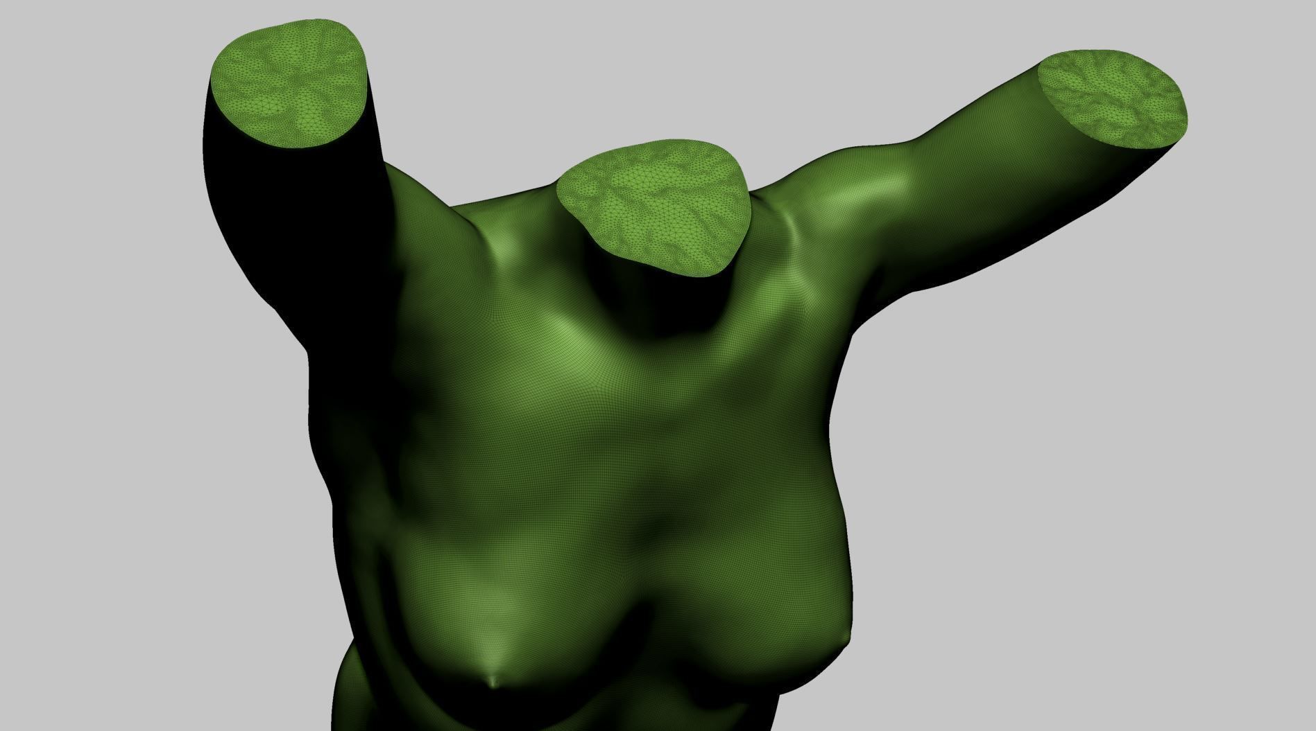 Female Torso Printable A 3D print model_11