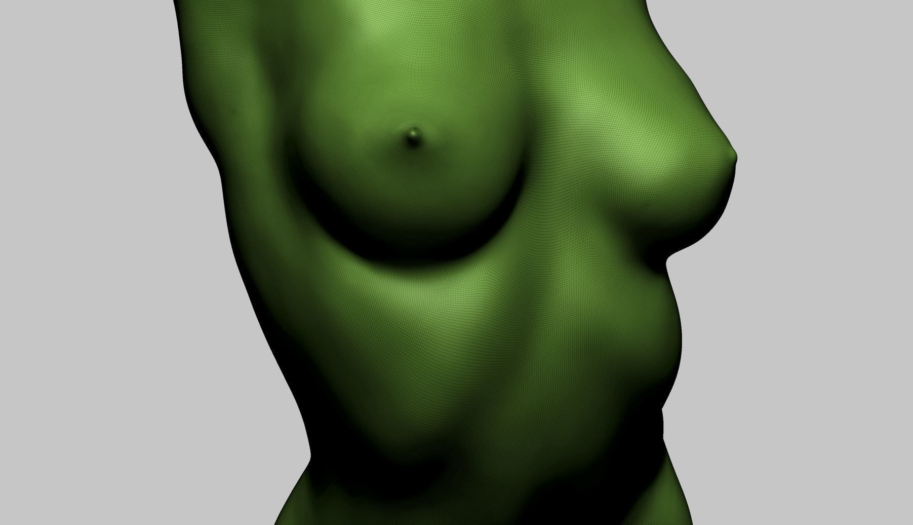 Female Torso Printable A 3D print model_10