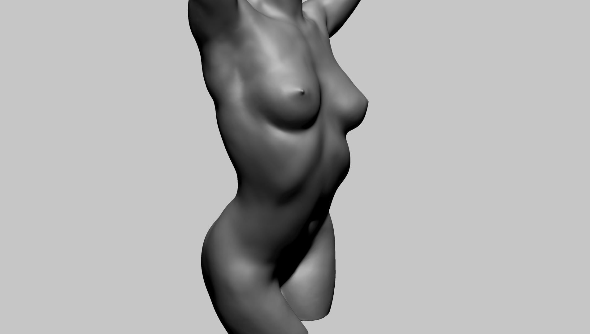 Female Torso Printable A 3D print model_9