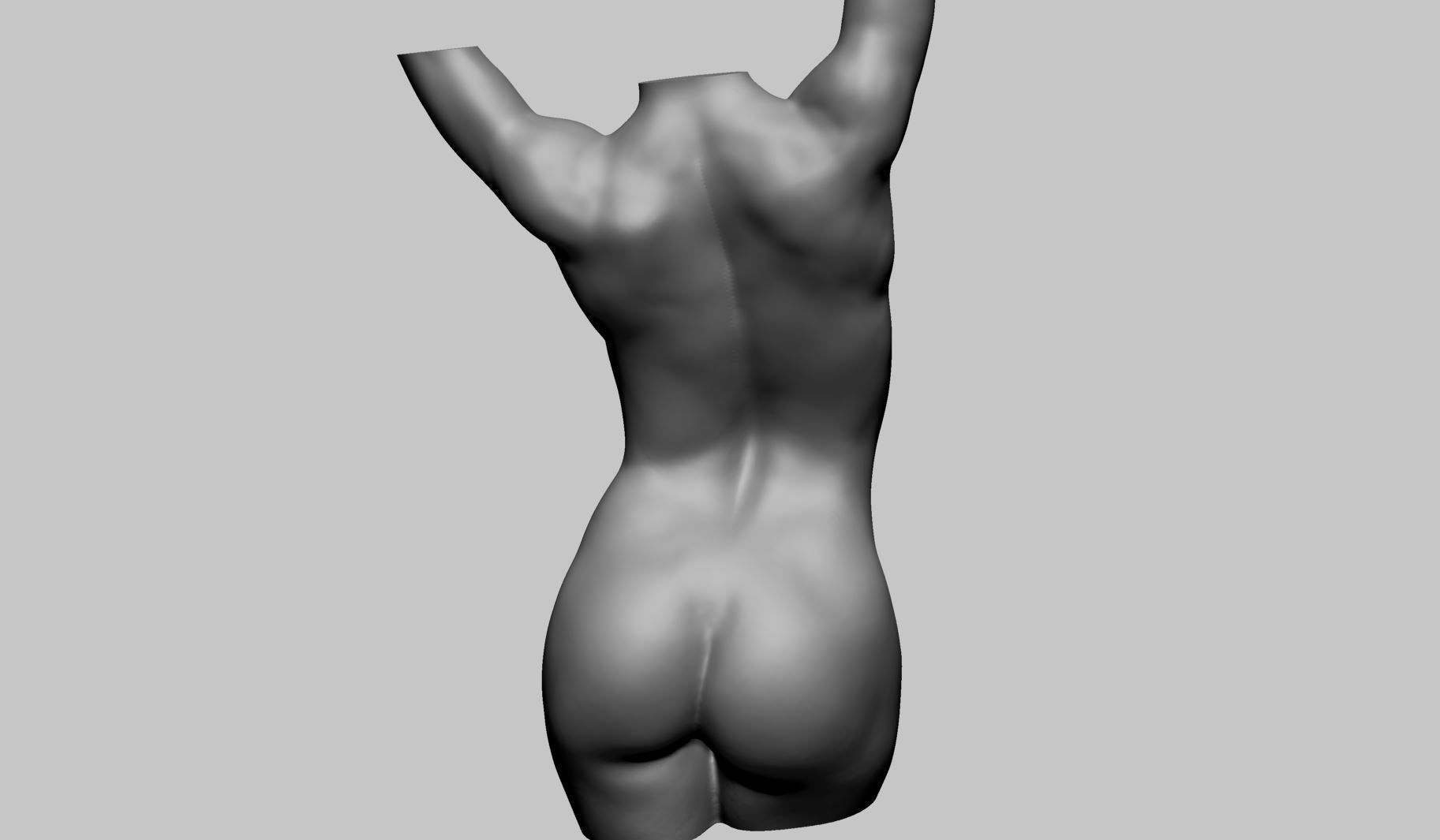 Female Torso Printable A 3D print model_8